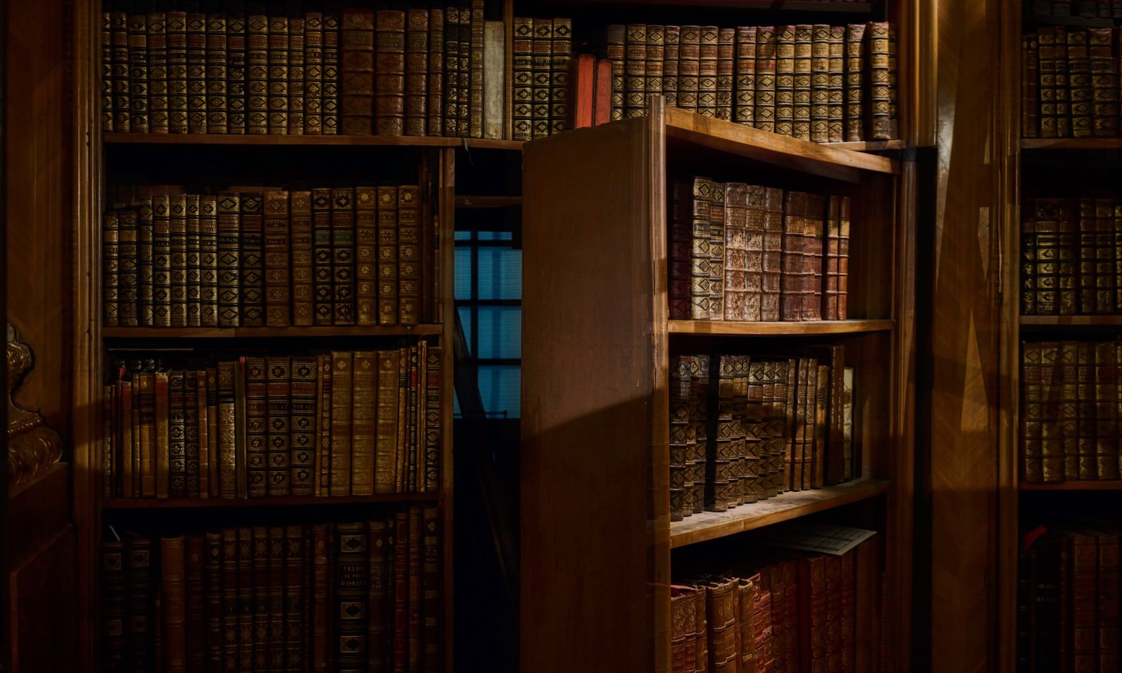 Hidden door in a bookshelf